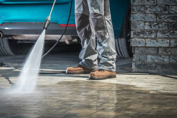 Best Factory Floor Cleaning  in Rogersville, AL