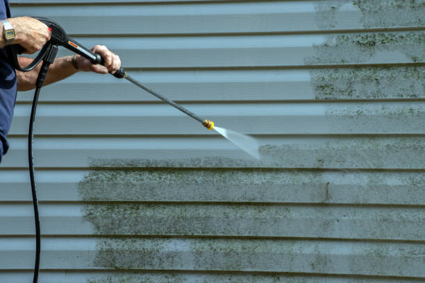 Professional Pressure washing in Rogersville, AL